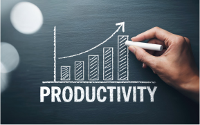 業務改善コンサルティング